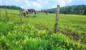 Trail Walking Foulain - Boucle 18 km autour de Foulain - Photo 2