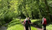 Trail Nordic walking Saint-Léger - Marche dans l'après-midi - Photo 8