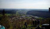 Percorso A piedi Frankenblick - Rundwanderweg Theuern 5 - Photo 7