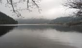 Tour Wandern Woll - 2023-04-16 Marche Abri Lac de Blanchemer vers Lac de Lispach - Photo 9