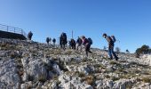 Excursión Senderismo Le Revest-les-Eaux - Le Mont Caume - Photo 12