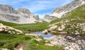 Excursión Senderismo Le Dévoluy - Col du Festre / Col de l'Aiguille . Dévoluy  - Photo 4