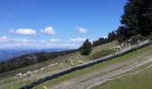 Trail Walking Beaumont-du-Ventoux - Ascension du Ventoux versant nord - Photo 7