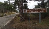 Trail Walking Escragnolles - hameau de Clars avec Toto - Photo 3