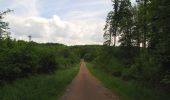 Randonnée Marche Coyolles - en forêt de Retz_78_les rayons du Rond Capitaine - Photo 15