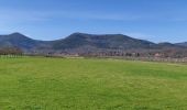 Trail Horseback riding Mollkirch - 2020-03-15 Picnic CVA Bernardswiller - Photo 1