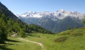 Percorso Cani da slitta Guillestre -  Charmousse. Ceillac  - Photo 2