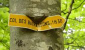 Tour Wandern Romeyer - Col des Bachassons depuis Romeyer - Photo 12