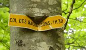Percorso Marcia Romeyer - Col des Bachassons depuis Romeyer - Photo 12