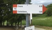 Randonnée A pied Calestano - Calestano - Fragno - Fragnolo - Percorso 773 - Photo 4