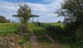 Tour Wandern Olne - olne - Photo 9