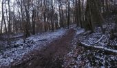 Excursión Bici de montaña Virton - Torgny par Lamorteau - Balade_VTT_31kms - Photo 19