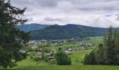 Tour Wandern Villard-de-Lans - Villard de Lans - les clots - bergerie de la fauge  - refuge - clos du four - fontaine magdelen- retour parking des clots - Photo 3