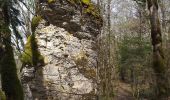 Excursión Senderismo Éternoz - Coulans sur Lison - Photo 18