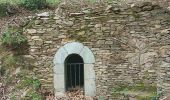 Tour Wandern Collobrières - Collobriéres. Sommet de l'Argentière  - Photo 18