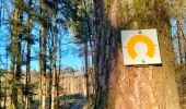 Trail Horseback riding Bouillon - rando équestre 9 partie 2 - Photo 1