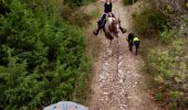 Trail Horseback riding Bénonces - col de portes - Photo 2