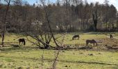 Trail Walking Sainte-Maure-de-Touraine - Sainte-Maure-de-Touraine - Sepmes via PRs - 20.5km 240m 4h35 (50mn) - 2025 03 19 - Photo 15