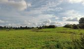 Trail Walking Modave - modave - clavier station, retour par la ligne 126 - Photo 12