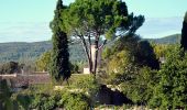 Randonnée Marche La Celle - Les hautes Bastides - Lac - Candelon - Dolmen - Amarron  - Photo 20