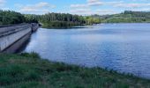 Trail Walking Peyrat-le-Château - barrage de Vassivière - Photo 3