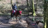 Trail Horseback riding Fougerolles-Saint-Valbert - Balade 1h vers chez le poix - Photo 8