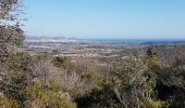 Trail Walking Roquebrune-sur-Argens - ROQUEBRUNE SUR ARGENS - A L'OUEST DE LA FLUTE - Photo 7