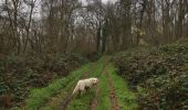 Randonnée Marche Meulers - meulers bois de Pimont freuleville - Photo 2