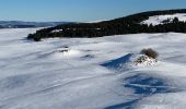 Randonnée Raquettes à neige Saint-Chély-d'Aubrac - Tourbière alte teste rodes  - Photo 7