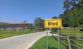 Tocht Stappen Radovljica - 15-08-23 camping Sobec, lac de Bled, Mala Osojnica et retour - Photo 2