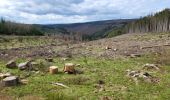 Trail Walking La Roche-en-Ardenne - Samree 190324 - Photo 4