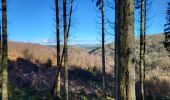 Tour Wandern Hohenfels - Cetturu 060224 - Photo 3