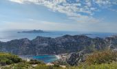 Tocht Stappen Marseille - Calanque de Morgiou - Photo 1