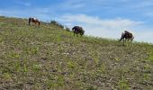 Excursión Senderismo Saint-Pée-sur-Nivelle - randonnée Santa Barbara  - Photo 2