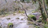 Tocht Stappen Lussan - de Prades au Concluses - Photo 5