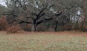 Tour Wandern Peynier - pourachon peynier - Photo 12