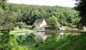 Tour Zu Fuß Schollbrunn - Roter Hase, Rundwanderweg Schollbrunn - Photo 1