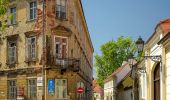 Trail On foot Zagreb - Planinarska staza Medvednica 12 - Photo 10