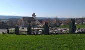 Trail Walking Fontain - fontain - fort de Fontain - forêt de Fontain - Photo 1