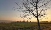 Trail Walking Hamoir - comblain la tour . hoyemont . oneux . comblain la tour - Photo 13