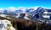 Tour Wandern La Beaume - Ranc de Chamoussière - Crête de la Longeagne - Photo 1