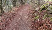 Trail Walking Stavelot - Stavelot 13 Km - Photo 7
