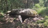 Randonnée Marche Saint-Nectaire - Menhir et Dolmen - Photo 2