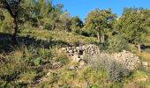 Trail Walking Cuers - Sous les barres de Cuers en partant de La Foux - Photo 1