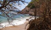 Excursión Senderismo La Trinité - parcours sportif de la pointe rouge - Photo 2