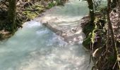 Randonnée Marche Nans-les-Pins - Nans les pins - sources de l'huveaune - Photo 4