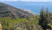 Randonnée A pied Ajaccio - Sentier des Crêtes Ajaccio et Grotte N - Photo 14