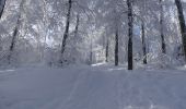 Randonnée Raquettes à neige Léoncel - Le Grand Echaillon - Les Crêtes de la Sausse - Photo 14