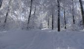 Percorso Racchette da neve Léoncel - Le Grand Echaillon - Les Crêtes de la Sausse - Photo 14