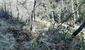 Trail Walking Duilhac-sous-Peyrepertuse - duulhac - Photo 4